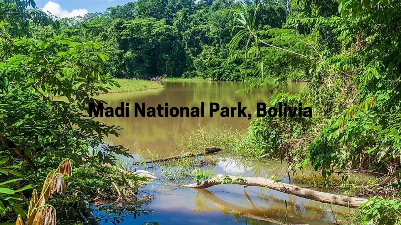Madi National Park, Bolivia