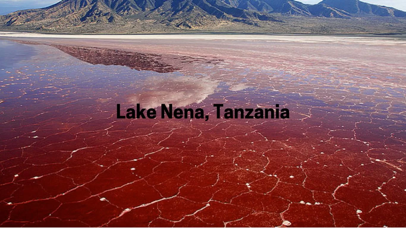 Lake Nena, Tanzania