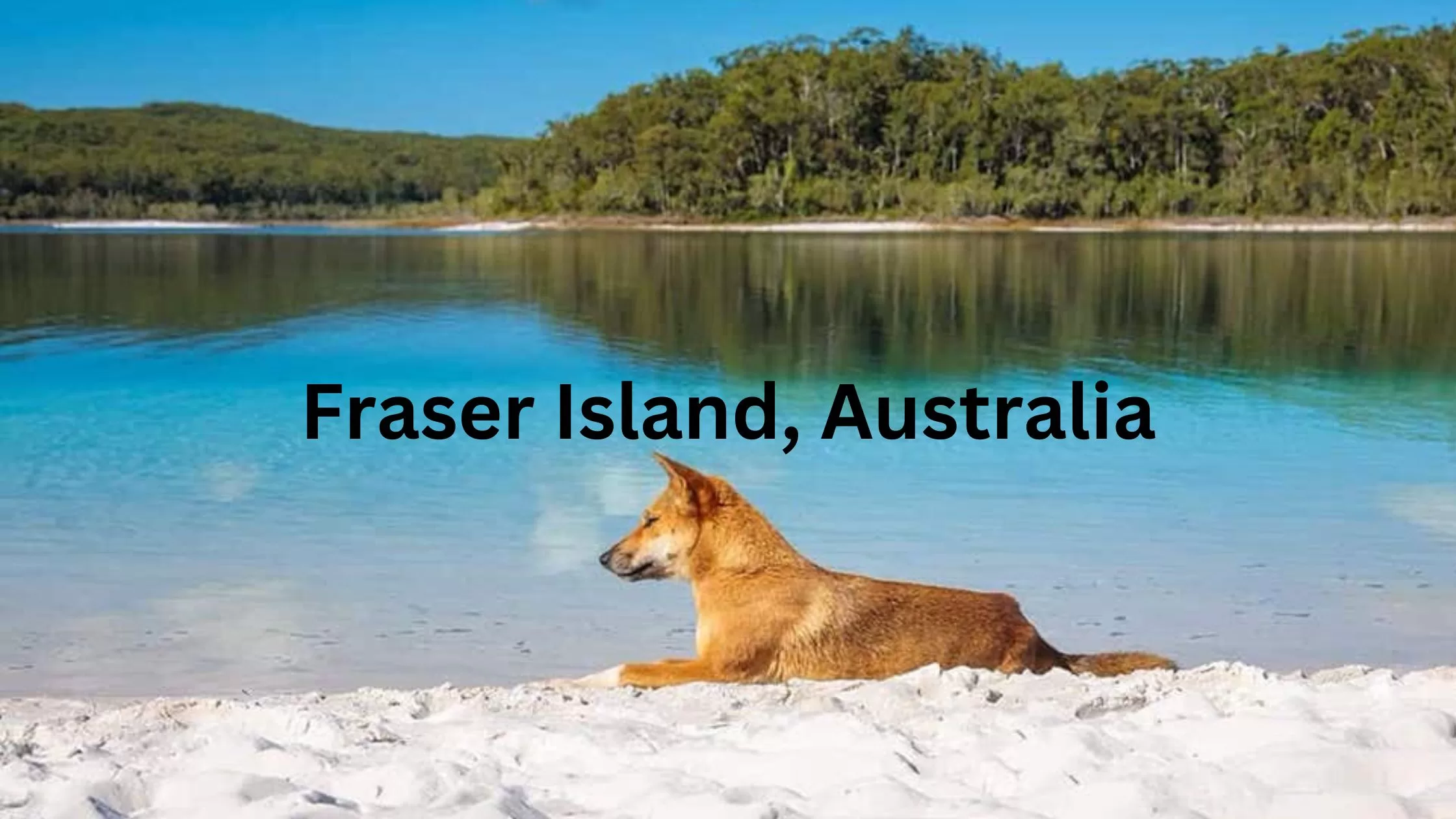 Fraser Island, Australia